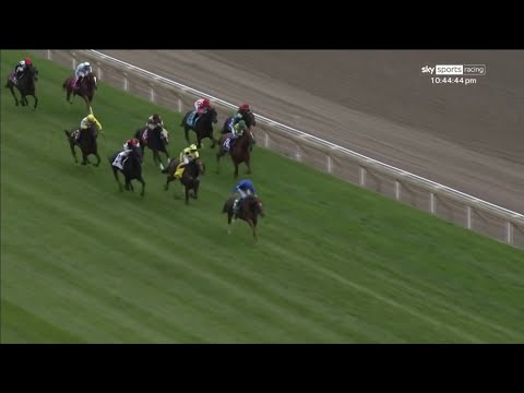 Brilliant from MODERN GAMES! William Buick cruises to victory in the Ricoh Woodbine Mile Stakes