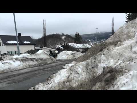 Tankefull - Sjetne skole