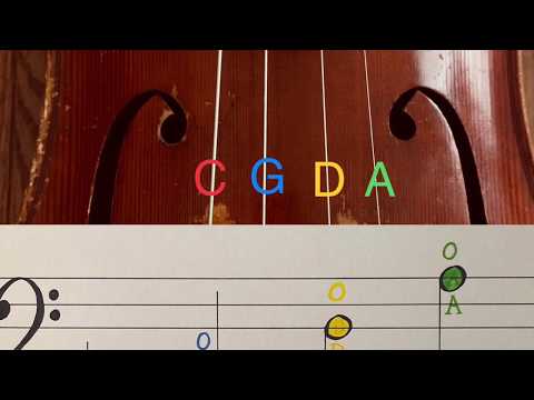 Learn to Read Notes (for Cello) in Less than 5 Minutes