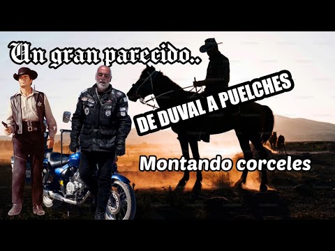 La Pampa | RUTA 232 | provincia bella | en moto por Argentina 