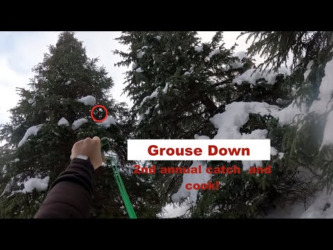 2nd Annual Slingshot Grouse Catch, Clean, Cook and Conversation