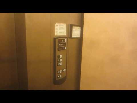 Schindler 330A Hydraulic Elevator at the Elizabeth Street Office Building.