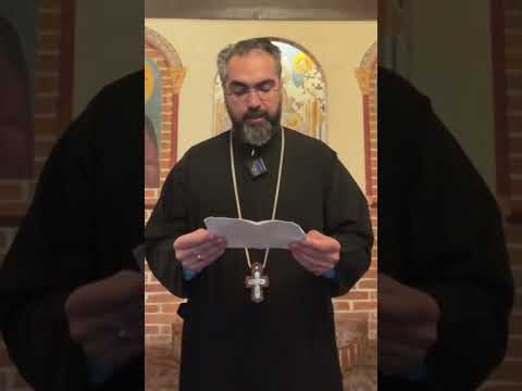 Prostia omenească - Poveste pentru Patriarhul Daniel