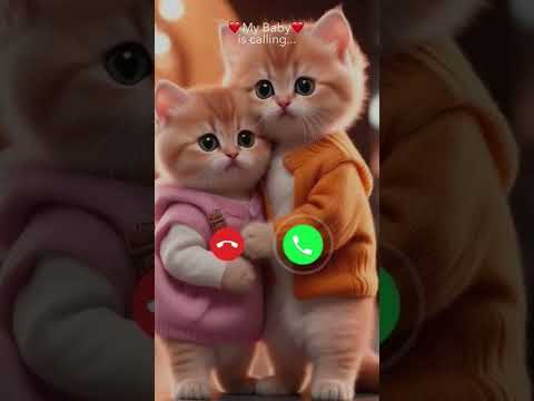 Cute baby message Ringtone || Message Tone | Cute sms Ringtone | Love ringtone | notification tone||