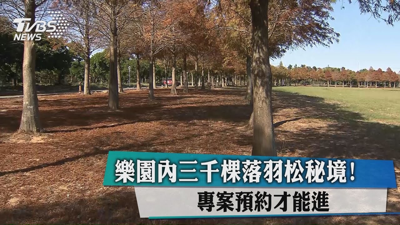 元旦連假口袋名單! 北中南3秘境驚喜曝光