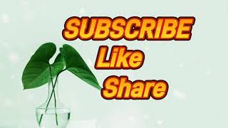 Download lagu Ambyar Mak Pyar - Happy Asmara (Lirik) mp3 Download lagu Ambyar Mak Pyar - Happy Asmara (Lirik) mp3