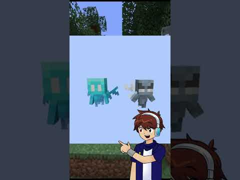 Vex's face has changed | snapshot 22w45a | Minecraft 1.20