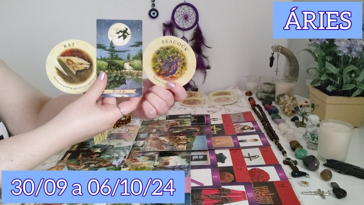 ♈ ÁRIES ⦁ 30/09 a 06/10/24 ⦁ 🦚🚫 NÃO SE ARRISQUE VOCÊ ESTÁ A UM PASSO DA VITÓRIA.
