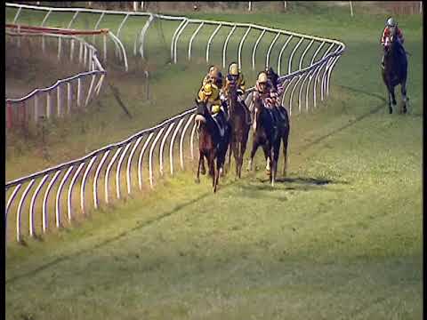 Galoppo 24/11/2018 - 3ª corsa