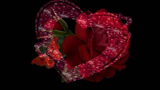 Heleno - Não são palavras lindas