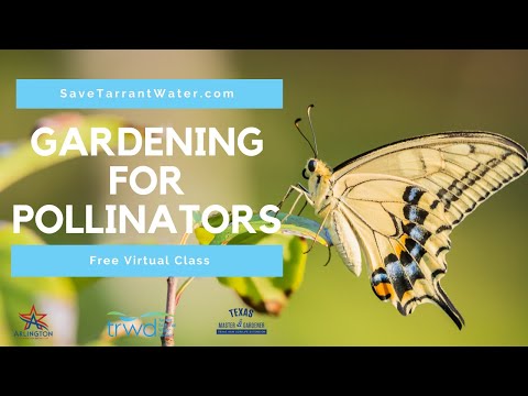 , title : 'Gardening for Pollinators'