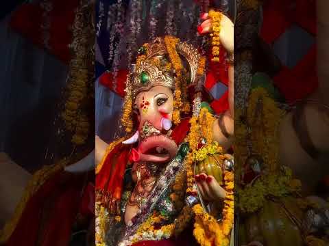 Aed #sedam ❤️🙏