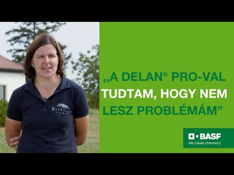 Delan® Pro tapasztalatok - Pelsőczi Éva