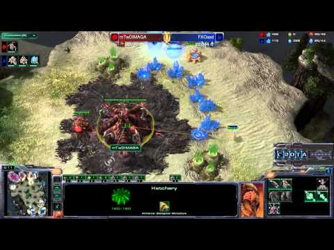 FXO asd (P) vs mTw Dimaga (Z) - G4 - StarCraft 2 - SC1873