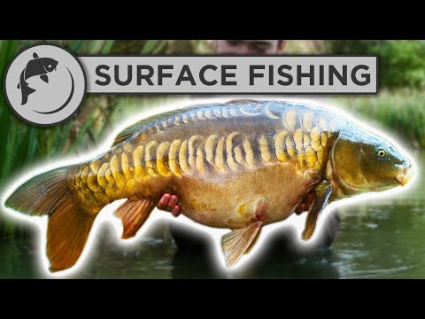 The Best Rig For Surface Carp Fishing (very effective)