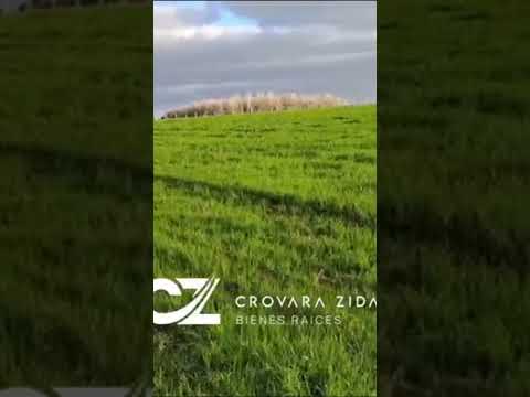 Video de YouTube - Campo en venta de 12 hectáreas ubicado en Migues, Solís Chico.