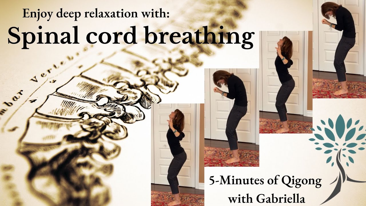 5-Minutes Qigong: Deep Relaxation with Spinal Cord Breathing. #qigong, #spine, #relaxing, #health