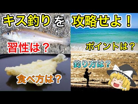 KiSSについて詳しく解説