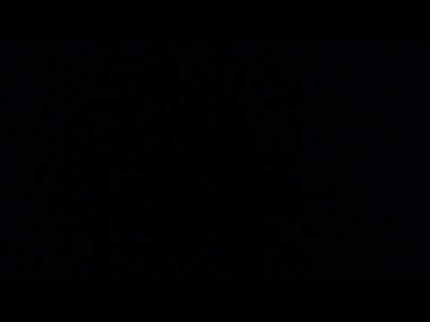 Shemot -  Parashat Bo - 1st Aliyah - English