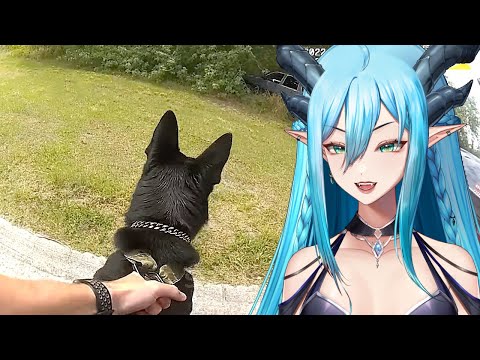 Craziest Police K9 Takedowns Caught on Camera - Part 2 (Most Dangerous React)