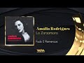Amália Rodrigues - La Zarzamora