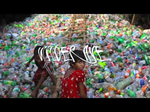 dashevsky - sunshine