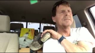 faze tari transporta un aligator