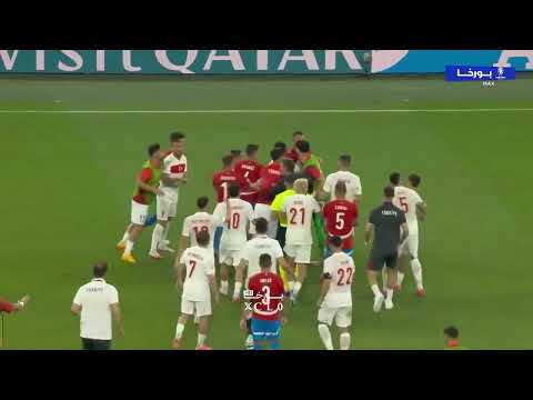 Czechia vs Turkey fight after the final whistle ☠️🥊