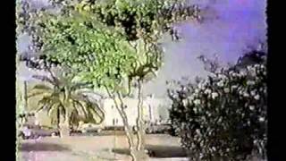 Sesame Street - Trees