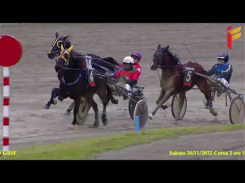 II corsa del 26 novembre 2022 - 3 Anni - Metri 2000 - Gentlemen