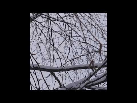 13. biocide - never wanted it to be like this [10.01.2019]