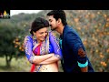 Vijay Latest Telugu Songs Jukebox Hit Video Songs Back To Back Thalapathy Vijay SriBalajiMovies