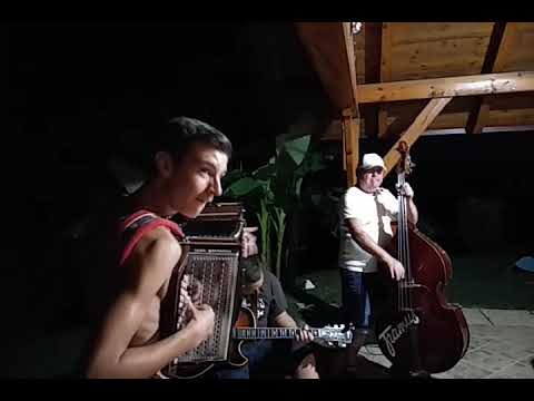 RADO PLANKO - PODIRANJE SMREKE 15 - PATRIK PLANKO & MARKO PLAZNIK & BOSTJAN ZAJC - PLAZNIK STIMA