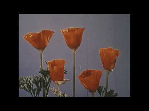 [Free] Lil Peep x Midwest Emo Type Beat "Fresh Air" (Prod. Yago x Jolst)