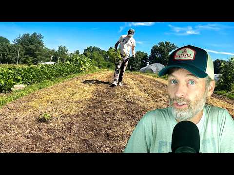 How to Start a Farm (but Actually) + Using Sawdust