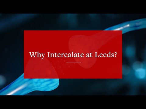 Why Intercalate at Leeds? | University of Leeds