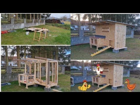 hühnerstall selber bauen für 300€ 🐓
