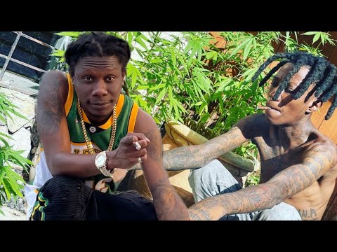 Blaze one ft the plug kale jew official video