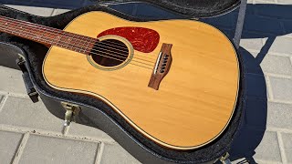 Video thumbnail for Seagull Maritime SWS Rosewood SG - Guitar Review & Demo Sound Audio Test by Legs ON
