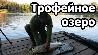 Места для ловли рыбы под киевом