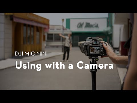 DJI Mic Mini｜Using with a Camera