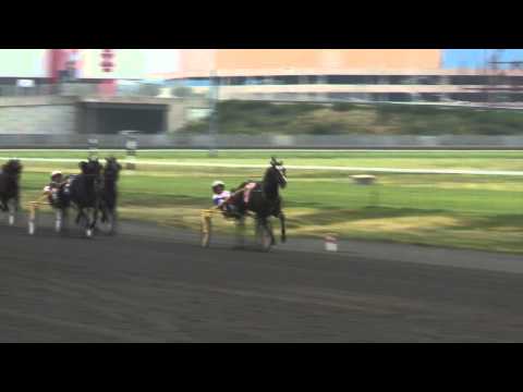 Ron Burke (Railbird Recognition)