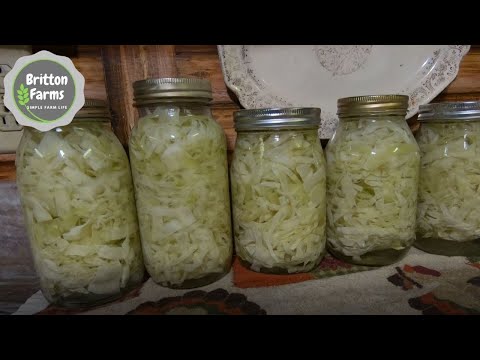 Making Easy Sauerkraut in the jar on the shelf #togetherwepreserve