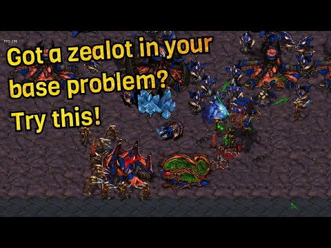 Leebokgu(Z) vs pF.Z(P) - A second chance to make things right.