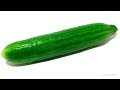 Cucumber Time Lapse 4K