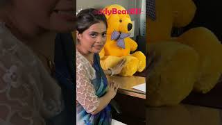 Best Bunny Teedy | Bunny Teedy - Huggable Stuffed Animal | High Quality Bunny Teedy