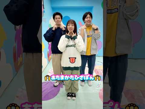 あたまかたひざぽんの手遊び😇楽しいからやってみよう🙌 #目白大学 # #目白短大 #大学生 #手遊び #幼児教育 #幼稚園教諭 #保育士 #子ども学科 #目白大学