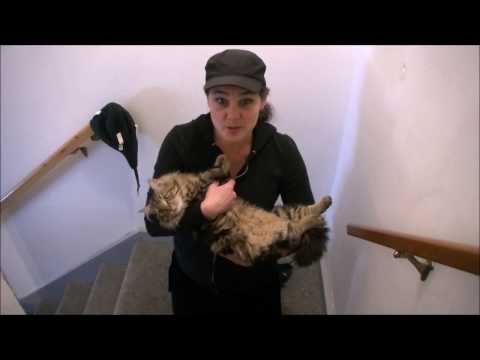 Raspberry Your Cat & Survive Challenge - YouTube