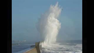 Peter Kent | For You