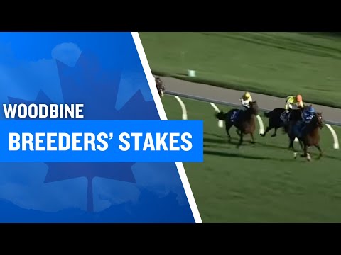 Entries Woodbine